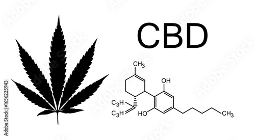 Cannabis Leaf with CBD Chemical Structure Vector Illustration