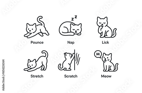 simple outline stroke icon items monoline icons style isolated on white background cat (actions): pounce nap lick stretch scratch meow