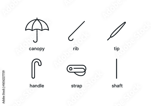 simple outline stroke icon items monoline icons style isolated on white background umbrella (parts): canopy rib tip handle strap shaft