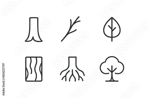 simple outline stroke icon items monoline icons style isolated on white background tree (parts): trunk branch leaf bark root crown