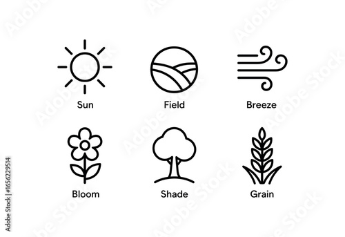 simple outline stroke icon items monoline icons style isolated on white background summer (late): sun field breeze bloom shade grain