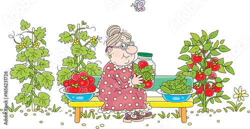 Happy granny on a bench with a glass jar of canned red tomatoes and green cucumbers in vinegar and brine from her kitchen garden, vector cartoon illustration on a white background