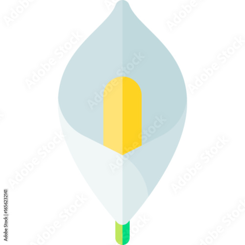 Peace Lily Plant