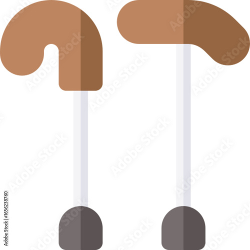 Walking Stick Mobility Cane