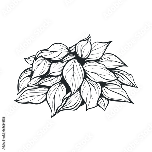 Leafy arrangement for botanical design and decoration purposes