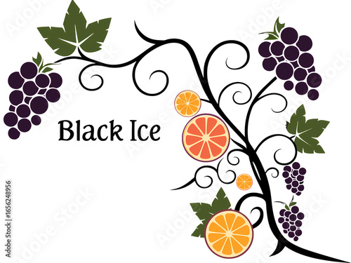 Elegant Grapevine and Citrus Fruit Design Element: Perfect for Invitations, Branding, and More isolated on transparent background