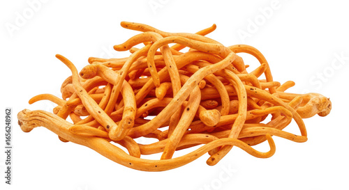 Isolated Cordyceps sinensis