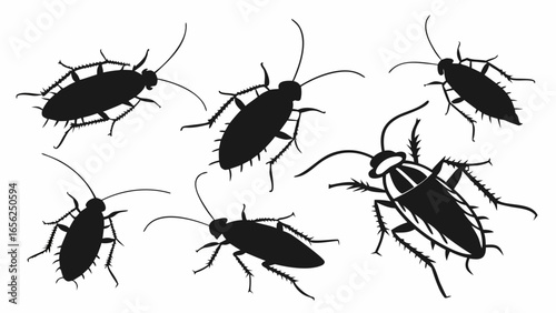 Collection of black cockroach silhouettes in various poses on a white background