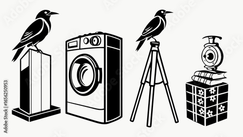 Four distinct objects including a bird on a pedestal a washing machine a bird on a tripod and a webcam on books