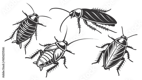 Stylized black and white illustrations of four cockroaches on a white background