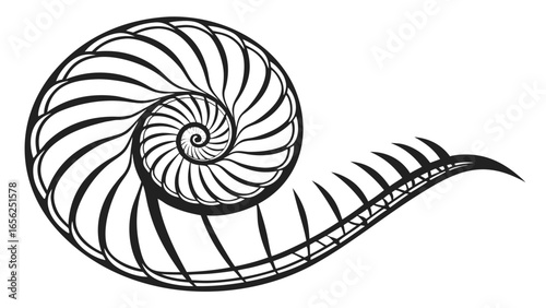 Stylized black and white nautilus shell spiral with segmented tail on a white background