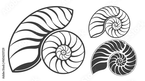 Three stylized black and white nautilus shell cross sections displaying fibonacci spiral patterns