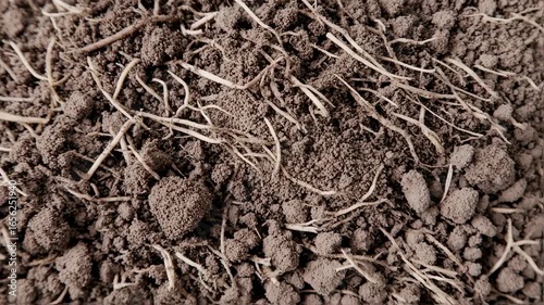 Closeup of Brown Soil Texture with Roots and Ground.