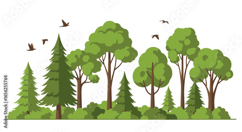 A vibrant flat vector illustration depicts a diverse forest landscape with various green trees, bushes, and birds flying overhead.