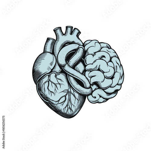 The Heart and Brain Connection - Balancing Emotion and Reason