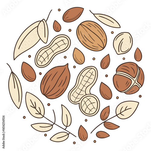 Hand drawn illustration of different nuts in a simple and minimalist style
