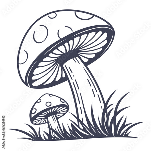 Hand drawn illustration of mushrooms in a simple and minimalist style