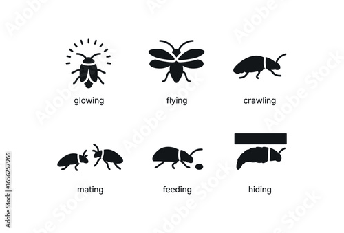 flat black solid icon items isolated on white background glowworm beetle (behaviors): glowing flying crawling mating feeding hiding