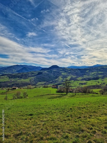 Colli Piacentini, Italia