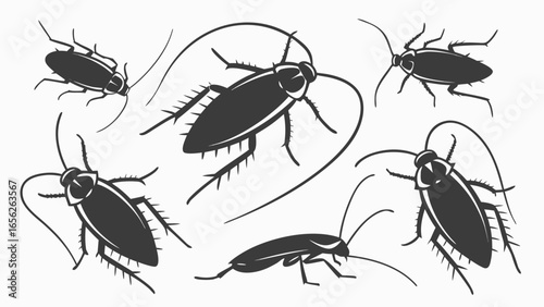 Cockroaches silhouettes, a common household pest