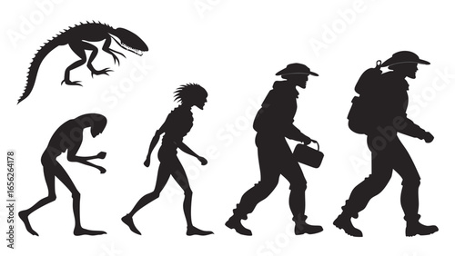 Illustration of human evolution