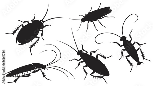 Silhouette of cockroaches, a common household pest