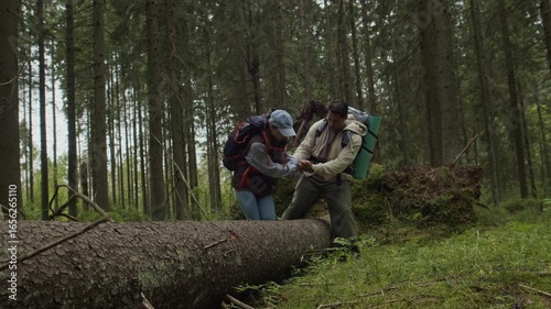 Wide stab shot of young multiethnic man assisting his girlfriend with sprained ankle sitting down on fallen tree, calling emergency service on phone in dense forest
