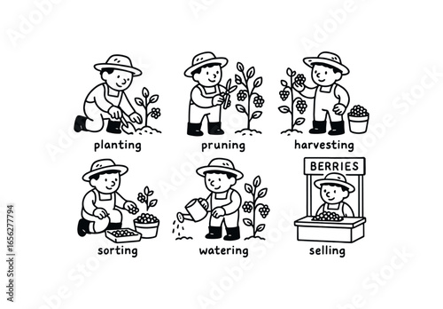 hand drawn cute doodle ink line art style line monochrome monochrome isolated on white background berry farmer (tasks): planting pruning harvesting sorting watering selling