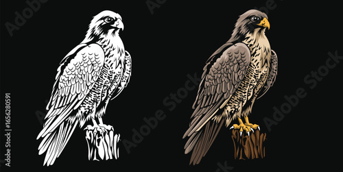 Falcon Bird Mascot Design Vector Illustration