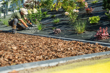 Gardening Project in Urban Landscape. Gardener Covering Drip Irrigation System by Small Rocks