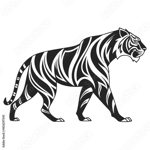 zebra isolated on white