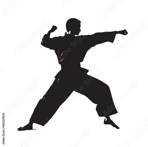 karate fighter