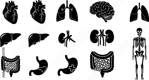 Collection of human organ icons for medical and health concepts
