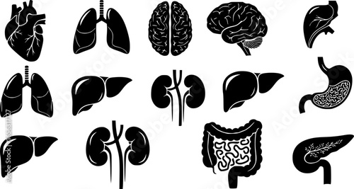 Collection of human organ icons for medical and health concepts
