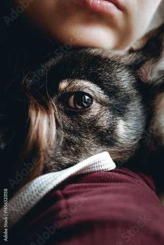 Sad dog is in a volunteer helping hands. An adoption of rescue animal. A lonely lost doggy hugs a human. The person adopts the abandoned homeless dog from a shelter. The pet misses for his dead owner.