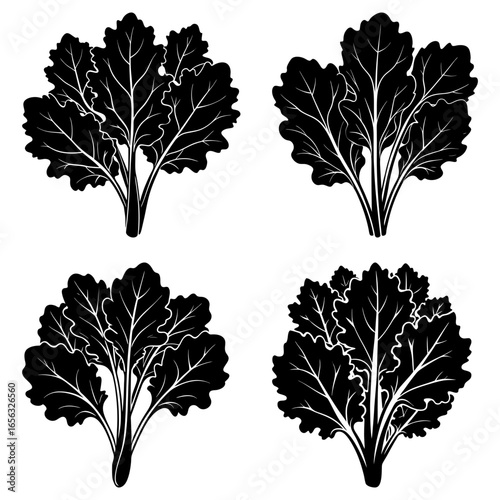 Four black and white vector illustrations of leafy green plants with detailed vein patterns on a white background