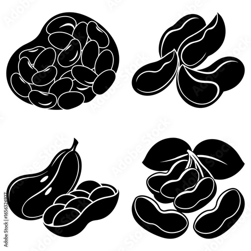 Illustration of various types of beans including kidney beans peanuts and other legumes in monochrome style