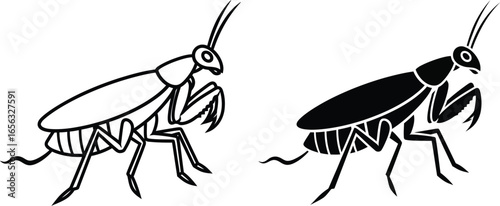 Praying mantis vector illustration insect outline silhouette
