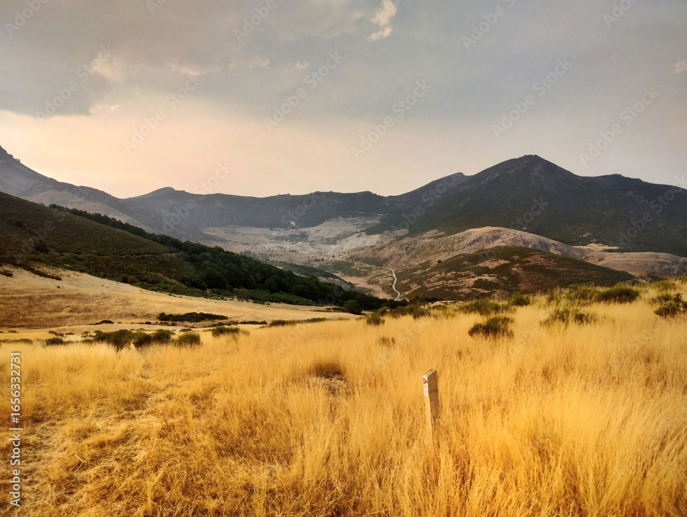Fototapeta premium Iyarga Valley from Campomuelle mountain pasture