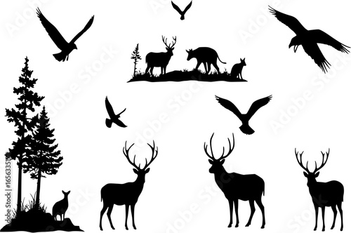 Landscape Nature Forest Animal Silhouette Vector
