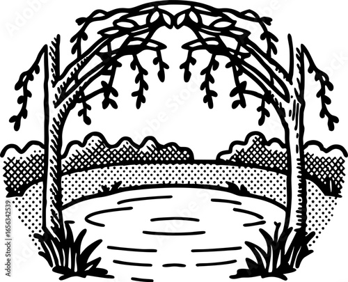 Willow trees arching over calm pond, tranquil nature scene with foliage and reflections, hand drawn illustration