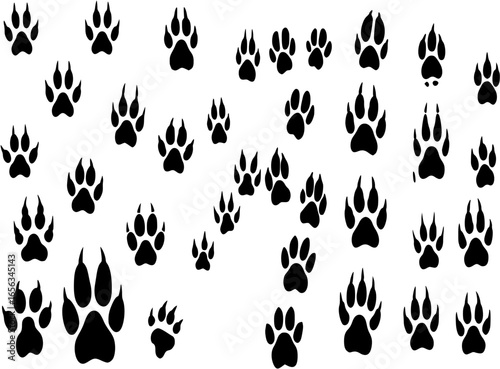 Animals footprints tracks black silhouettes. Pawprints, isolated animal footprint. Pets footsteps, different wild character foot step decent vector set 