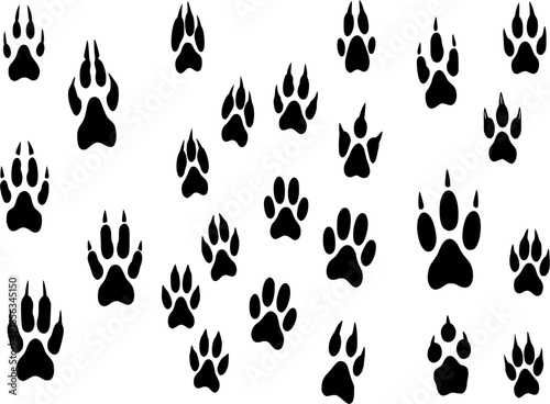 Animals footprints tracks black silhouettes. Pawprints, isolated animal footprint. Pets footsteps, different wild character foot step decent vector set 