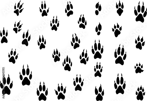 Animals footprints tracks black silhouettes. Pawprints, isolated animal footprint. Pets footsteps, different wild character foot step decent vector set 