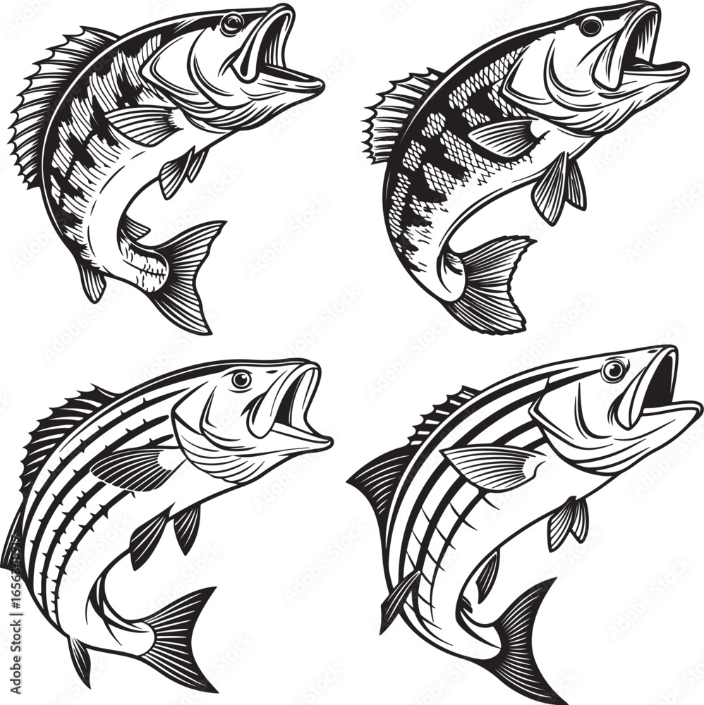 custom made wallpaper toronto digitalThe image shows four stylized drawings of fish, possibly bass, in a grid layout.