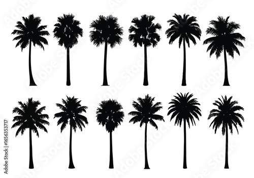 Vector illustration of collection of palm tree silhouettes