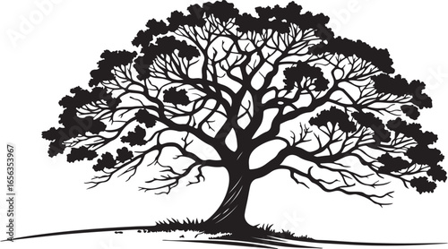 A black silhouette of a tree with dense branches and leaves against a white background.
