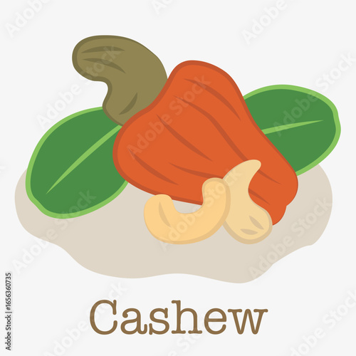 Cashew nuts illustration. Cashew nuts illustration, made in flat style and isolated on white background.