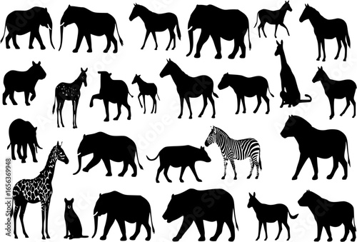 Collection of Animal Silhouettes - Set of 25 Mammals
