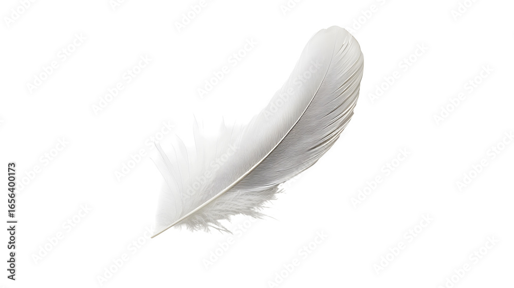 Obraz premium feather png